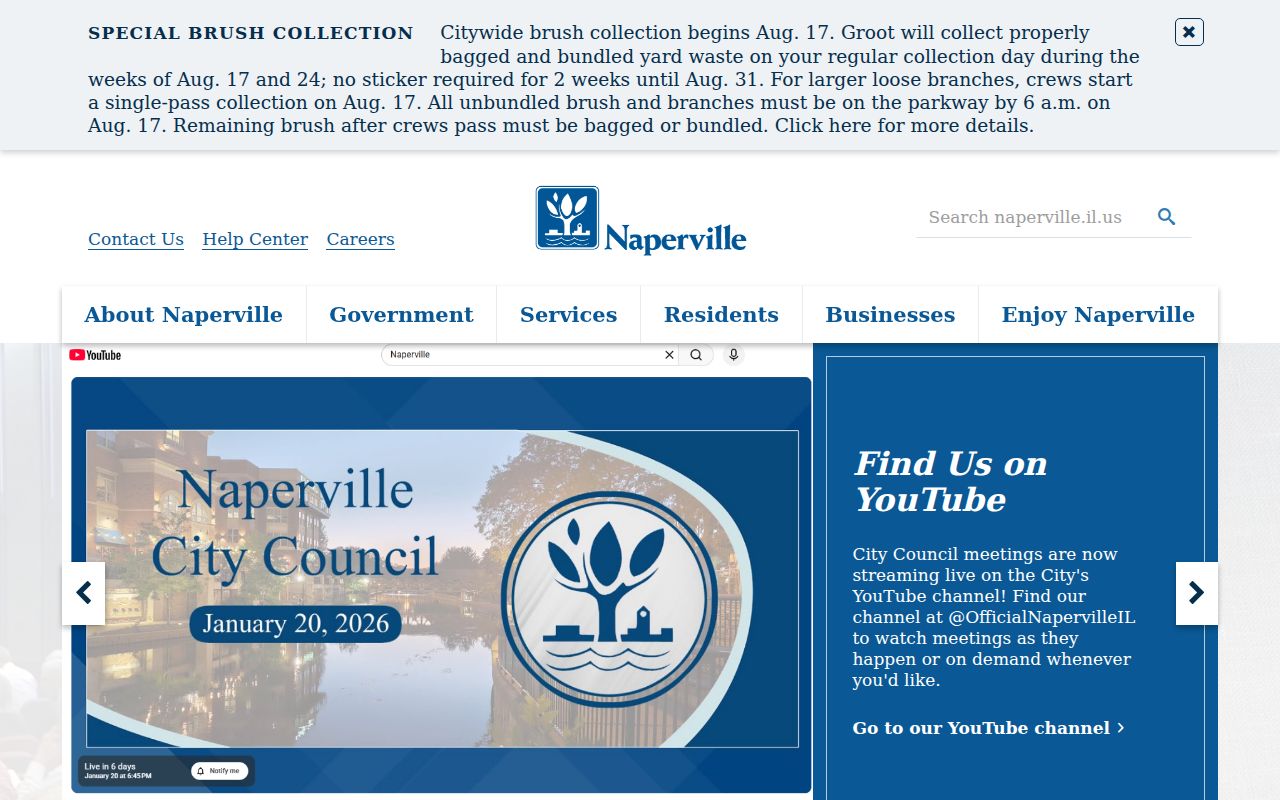 Naperville boards page used for DuPage County neighbors civic research